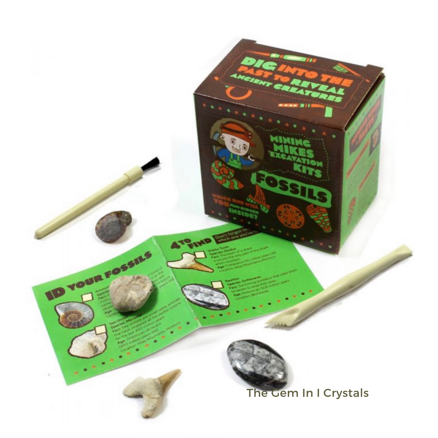 Mining Mike’s Genuine Fossil Excavation Kit